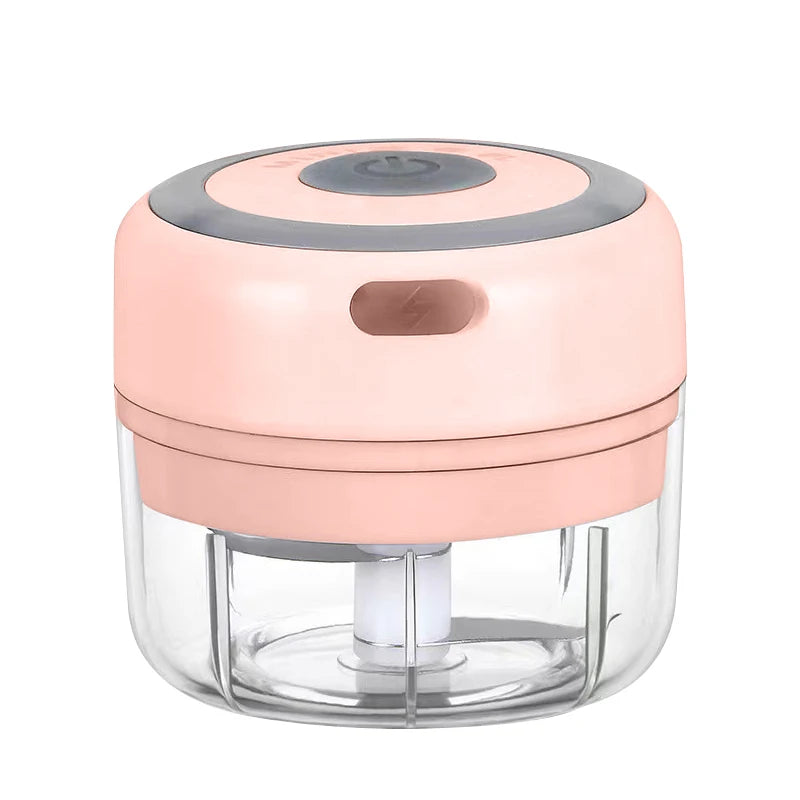 Mini Electric Garlic Grinder Chili Vegetable Chopper 100/250ML Wireless Portable Mixer Machine Crusher Kitchen Blender